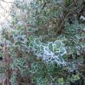 150 Batcave in the Winter - Dec 2010
